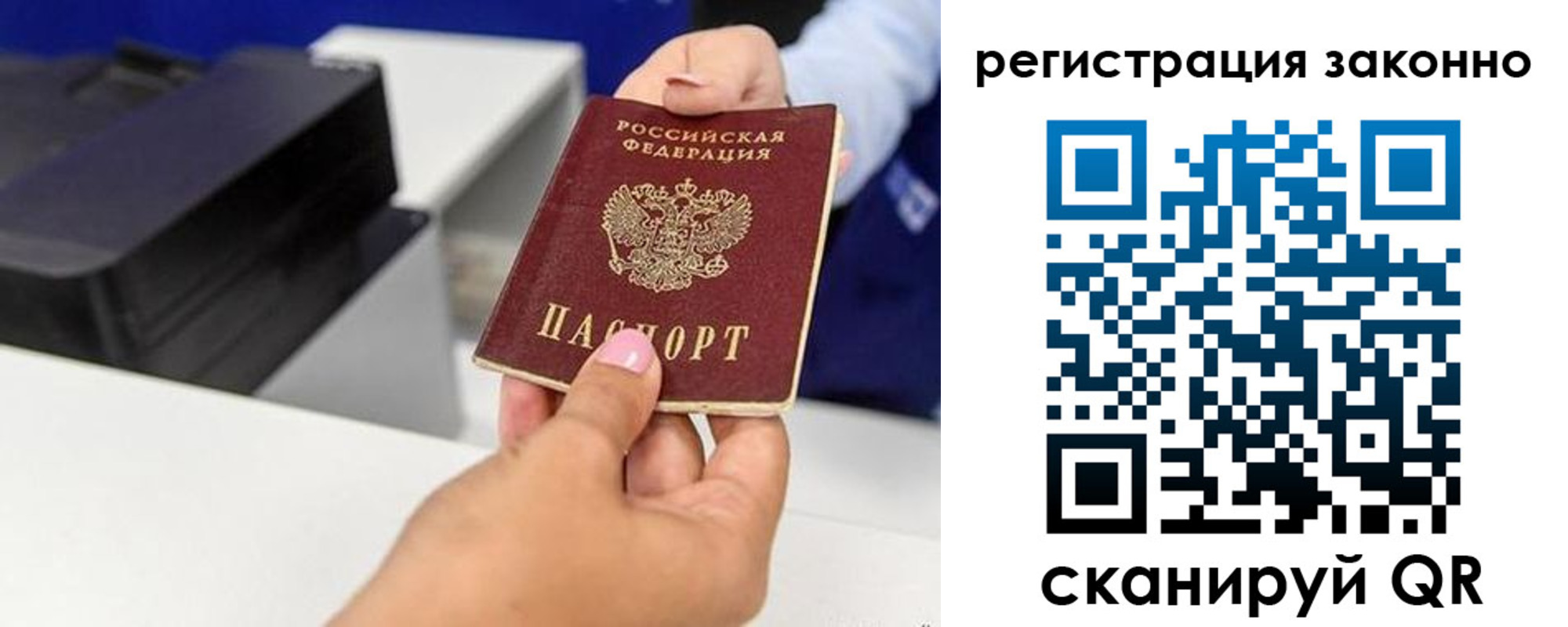 прописка для школы в Пионерском